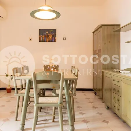 Paradise Flat - *