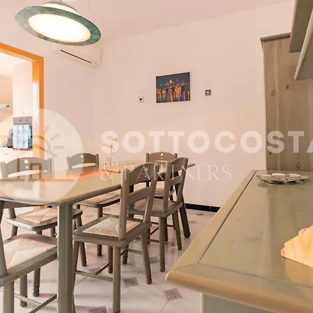 Paradise Flat - *